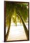 Palm Trees and Tropical Beach, Southern Mahe, Seychelles-Jon Arnold-Framed Photographic Print