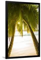 Palm Trees and Tropical Beach, Southern Mahe, Seychelles-Jon Arnold-Framed Photographic Print