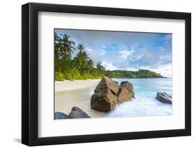 Palm Trees and Tropical Beach, Southern Mahe, Seychelles-Jon Arnold-Framed Photographic Print