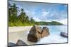 Palm Trees and Tropical Beach, Southern Mahe, Seychelles-Jon Arnold-Mounted Photographic Print