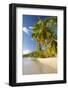 Palm Trees and Tropical Beach, Southern Mahe, Seychelles-Jon Arnold-Framed Photographic Print
