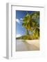 Palm Trees and Tropical Beach, Southern Mahe, Seychelles-Jon Arnold-Framed Photographic Print