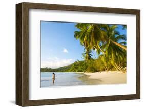 Palm Trees and Tropical Beach, Southern Mahe, Seychelles-Jon Arnold-Framed Photographic Print