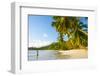 Palm Trees and Tropical Beach, Southern Mahe, Seychelles-Jon Arnold-Framed Photographic Print