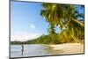 Palm Trees and Tropical Beach, Southern Mahe, Seychelles-Jon Arnold-Mounted Photographic Print