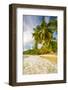 Palm Trees and Tropical Beach, Southern Mahe, Seychelles-Jon Arnold-Framed Photographic Print