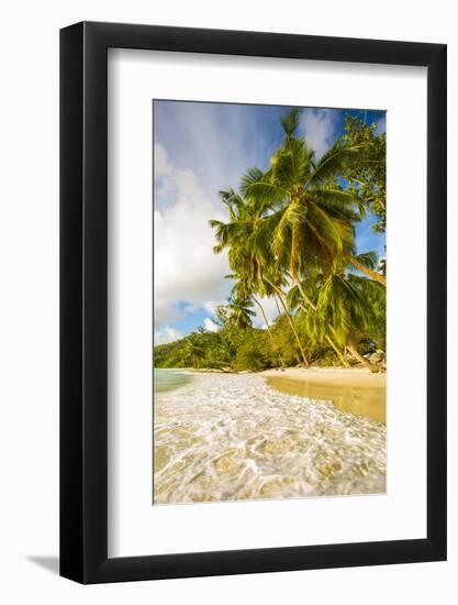 Palm Trees and Tropical Beach, Southern Mahe, Seychelles-Jon Arnold-Framed Photographic Print