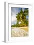 Palm Trees and Tropical Beach, Southern Mahe, Seychelles-Jon Arnold-Framed Photographic Print