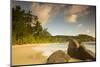 Palm Trees and Tropical Beach, Southern Mahe, Seychelles-Jon Arnold-Mounted Photographic Print