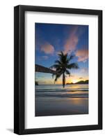 Palm Trees and Tropical Beach, Southern Mahe, Seychelles-Jon Arnold-Framed Photographic Print