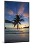 Palm Trees and Tropical Beach, Southern Mahe, Seychelles-Jon Arnold-Mounted Photographic Print