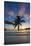 Palm Trees and Tropical Beach, Southern Mahe, Seychelles-Jon Arnold-Stretched Canvas