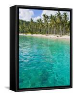 Palm Trees and Turquoise Water, Nippah Beach, Lombok, West Nusa Tenggara, Indonesia, Southeast Asia-Matthew Williams-Ellis-Framed Stretched Canvas