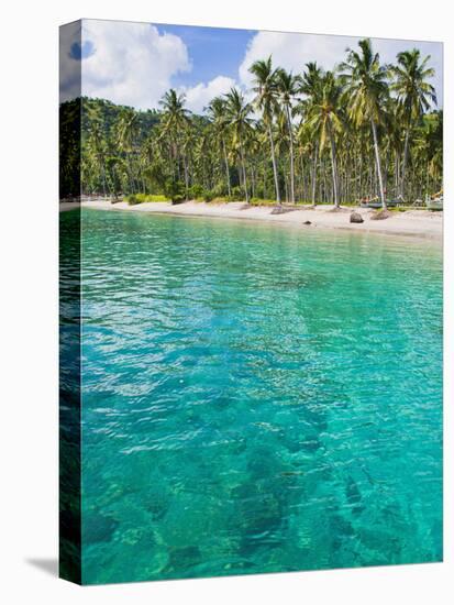 Palm Trees and Turquoise Water, Nippah Beach, Lombok, West Nusa Tenggara, Indonesia, Southeast Asia-Matthew Williams-Ellis-Stretched Canvas