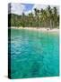 Palm Trees and Turquoise Water, Nippah Beach, Lombok, West Nusa Tenggara, Indonesia, Southeast Asia-Matthew Williams-Ellis-Stretched Canvas