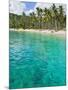 Palm Trees and Turquoise Water, Nippah Beach, Lombok, West Nusa Tenggara, Indonesia, Southeast Asia-Matthew Williams-Ellis-Mounted Premium Photographic Print