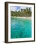 Palm Trees and Turquoise Water, Nippah Beach, Lombok, West Nusa Tenggara, Indonesia, Southeast Asia-Matthew Williams-Ellis-Framed Photographic Print