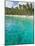 Palm Trees and Turquoise Water, Nippah Beach, Lombok, West Nusa Tenggara, Indonesia, Southeast Asia-Matthew Williams-Ellis-Mounted Photographic Print