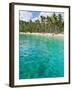 Palm Trees and Turquoise Water, Nippah Beach, Lombok, West Nusa Tenggara, Indonesia, Southeast Asia-Matthew Williams-Ellis-Framed Photographic Print