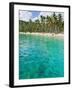 Palm Trees and Turquoise Water, Nippah Beach, Lombok, West Nusa Tenggara, Indonesia, Southeast Asia-Matthew Williams-Ellis-Framed Photographic Print