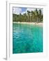 Palm Trees and Turquoise Water, Nippah Beach, Lombok, West Nusa Tenggara, Indonesia, Southeast Asia-Matthew Williams-Ellis-Framed Photographic Print