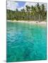 Palm Trees and Turquoise Water, Nippah Beach, Lombok, West Nusa Tenggara, Indonesia, Southeast Asia-Matthew Williams-Ellis-Mounted Photographic Print