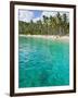 Palm Trees and Turquoise Water, Nippah Beach, Lombok, West Nusa Tenggara, Indonesia, Southeast Asia-Matthew Williams-Ellis-Framed Photographic Print