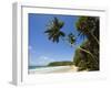 Palm Trees and West Point of the South Coast Whale Watch Surf Beach at Mirissa, Near Matara, Southe-Robert Francis-Framed Photographic Print