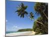 Palm Trees and West Point of the South Coast Whale Watch Surf Beach at Mirissa, Near Matara, Southe-Robert Francis-Mounted Photographic Print