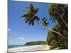 Palm Trees and West Point of the South Coast Whale Watch Surf Beach at Mirissa, Near Matara, Southe-Robert Francis-Mounted Photographic Print