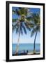 Palm trees, Anse Vata beach, Noumea, New Caledonia, Pacific-Michael Runkel-Framed Photographic Print