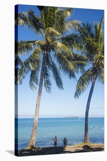 Palm trees, Anse Vata beach, Noumea, New Caledonia, Pacific-Michael Runkel-Stretched Canvas