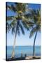 Palm trees, Anse Vata beach, Noumea, New Caledonia, Pacific-Michael Runkel-Stretched Canvas