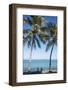 Palm trees, Anse Vata beach, Noumea, New Caledonia, Pacific-Michael Runkel-Framed Photographic Print