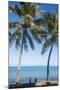 Palm trees, Anse Vata beach, Noumea, New Caledonia, Pacific-Michael Runkel-Mounted Premium Photographic Print