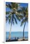 Palm trees, Anse Vata beach, Noumea, New Caledonia, Pacific-Michael Runkel-Framed Photographic Print