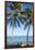 Palm trees, Anse Vata beach, Noumea, New Caledonia, Pacific-Michael Runkel-Framed Photographic Print