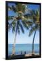 Palm trees, Anse Vata beach, Noumea, New Caledonia, Pacific-Michael Runkel-Framed Photographic Print