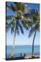 Palm trees, Anse Vata beach, Noumea, New Caledonia, Pacific-Michael Runkel-Stretched Canvas