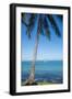 Palm trees, Anse Vata beach, Noumea, New Caledonia, Pacific-Michael Runkel-Framed Photographic Print