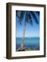 Palm trees, Anse Vata beach, Noumea, New Caledonia, Pacific-Michael Runkel-Framed Photographic Print