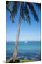 Palm trees, Anse Vata beach, Noumea, New Caledonia, Pacific-Michael Runkel-Mounted Premium Photographic Print