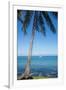 Palm trees, Anse Vata beach, Noumea, New Caledonia, Pacific-Michael Runkel-Framed Photographic Print