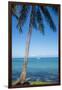 Palm trees, Anse Vata beach, Noumea, New Caledonia, Pacific-Michael Runkel-Framed Premium Photographic Print