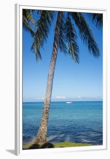 Palm trees, Anse Vata beach, Noumea, New Caledonia, Pacific-Michael Runkel-Framed Premium Photographic Print