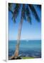 Palm trees, Anse Vata beach, Noumea, New Caledonia, Pacific-Michael Runkel-Framed Photographic Print