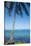 Palm trees, Anse Vata beach, Noumea, New Caledonia, Pacific-Michael Runkel-Stretched Canvas