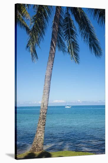 Palm trees, Anse Vata beach, Noumea, New Caledonia, Pacific-Michael Runkel-Stretched Canvas