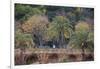 Palm Trees are Abundant Within the Grounds of Park Guell in Barcelona, Spain-Paul Dymond-Framed Photographic Print