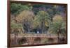 Palm Trees are Abundant Within the Grounds of Park Guell in Barcelona, Spain-Paul Dymond-Framed Photographic Print